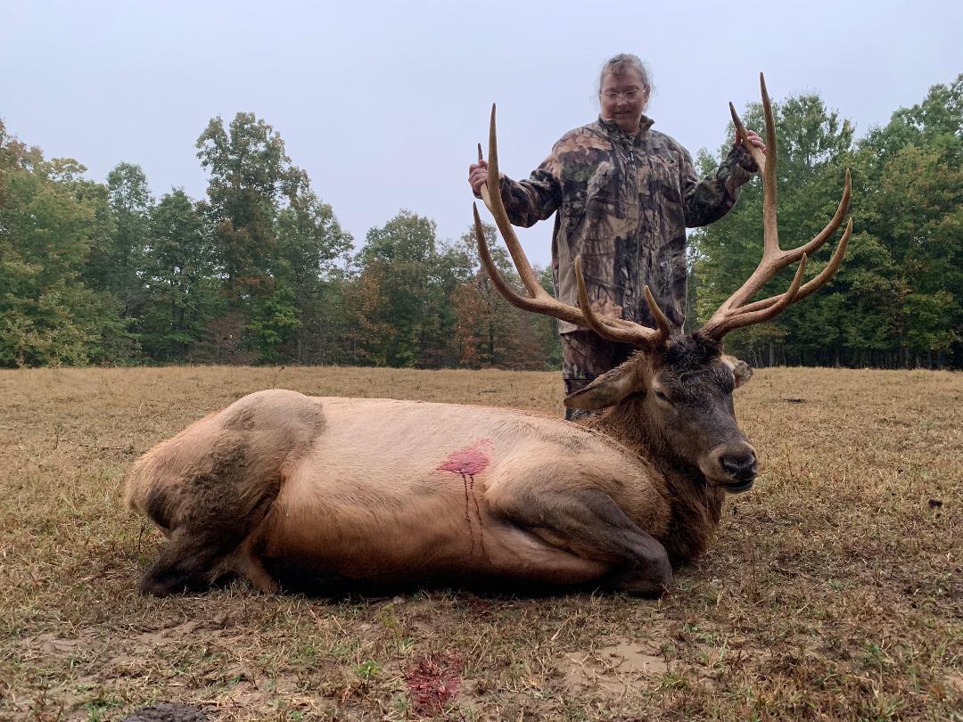 elk 1